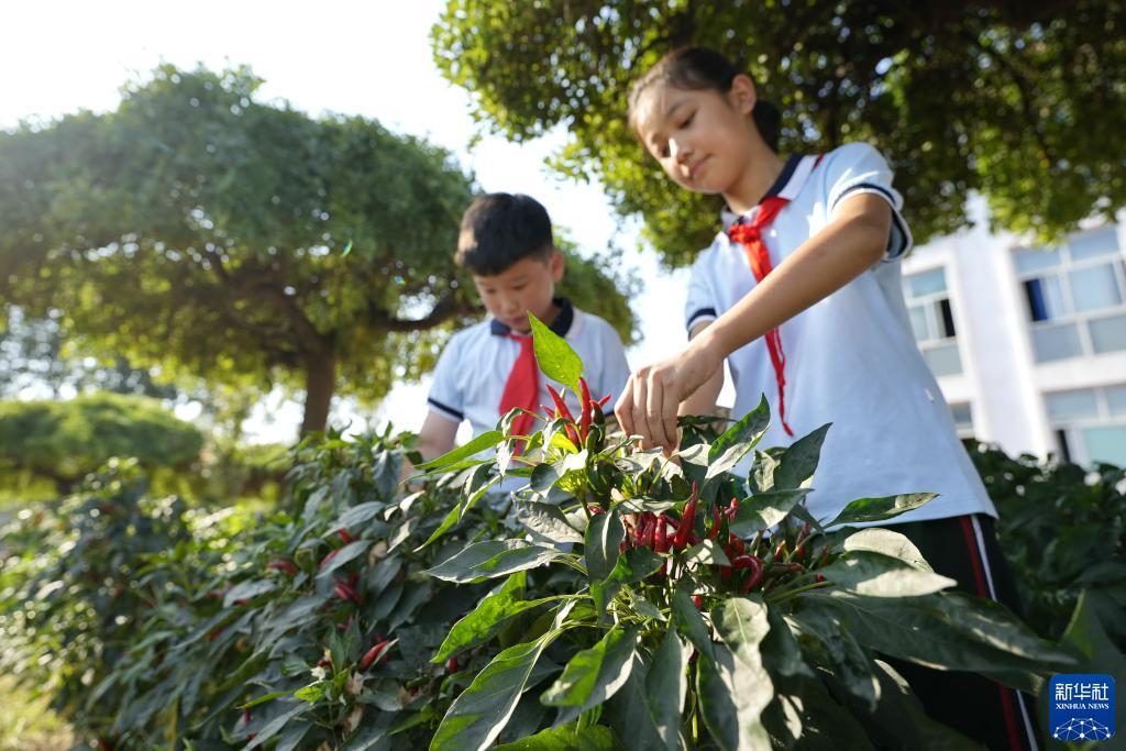 好玩的捕鱼休闲游戏